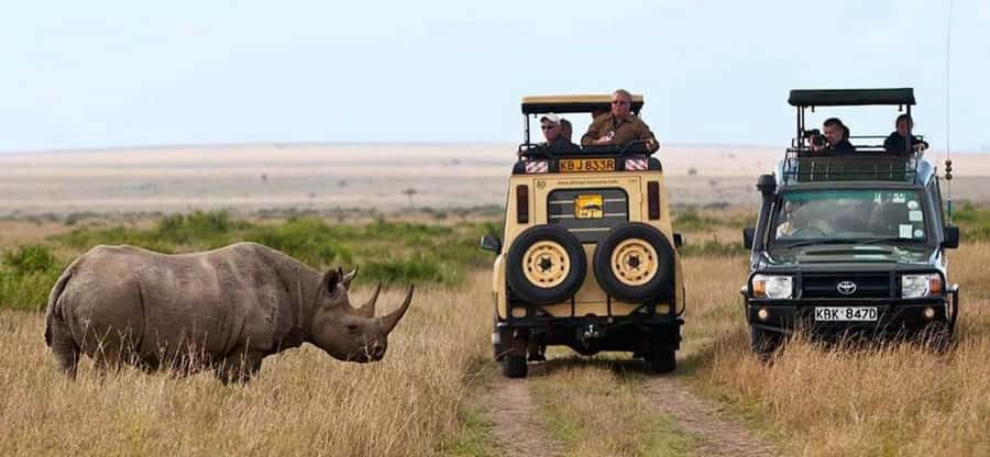 Nairobi: 4 Days Masai Mara & Lake Nakuru 4WD Camping Safari - Day 4 At Lake Nakuru: White Rhinos And Flamingo Chances