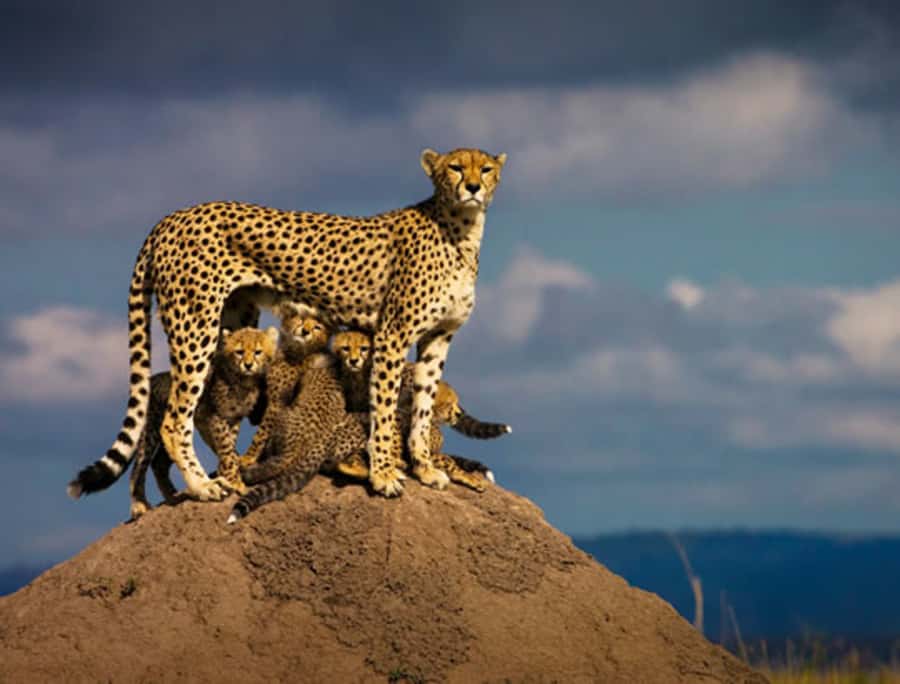 Nairobi: 5 Days Maasai Mara, Nakuru & Naivasha Tour - Route Map: Nairobi to Maasai Mara, Nakuru, then Naivasha in 5 days