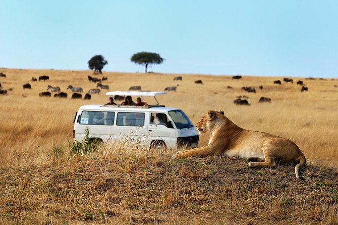 Nairobi Airport Layover Half Day Tour Nairobi National Park - Who should book this Nairobi Airport layover tour