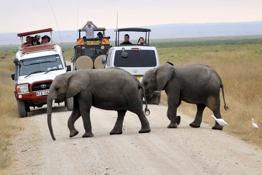 Nairobi: Amboseli National Park Day Trip with Masai Village - Price and value: how the real cost stacks up