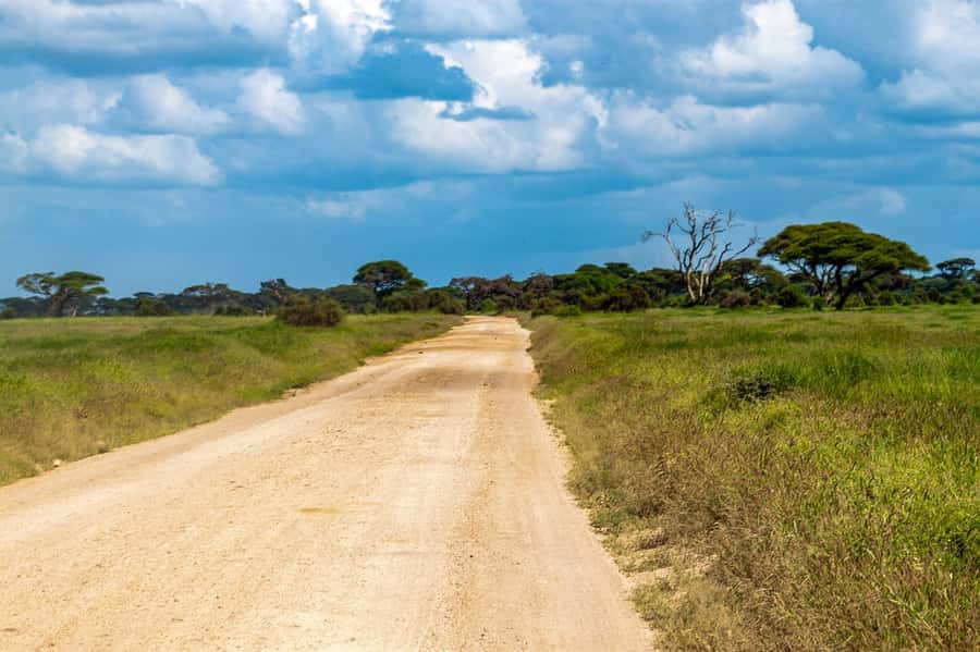 Nairobi: Amboseli National Park Tour & Maasai Village Visit - Key things to know before you go