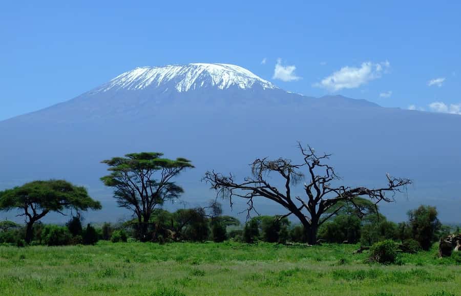Nairobi: Amboseli National Park Tour & Maasai Village Visit - A good one-day format for Amboseli, Kilimanjaro, and culture