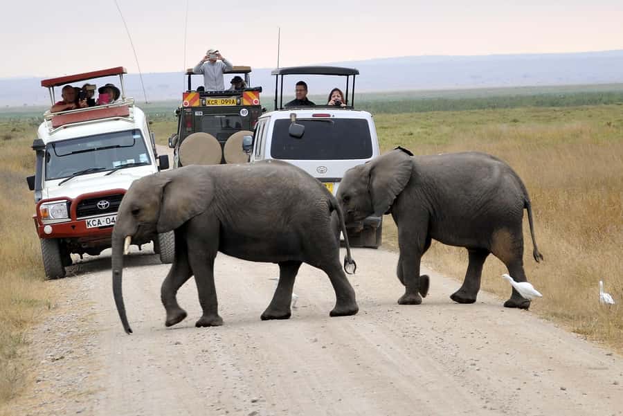 Nairobi: Amboseli National Park Tour & Maasai Village Visit - Nairobi to Amboseli: what that long van ride means for you