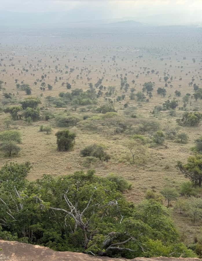Nairobi: ATV/Quad Bike Wildlife Safari with Transfers & meal - Transfers from JKIA and Nairobi hotels, and why timing feels smooth
