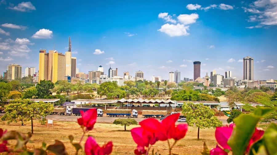 Nairobi City Guided Tour - Nairobi in 3 Hours: What You Really Get