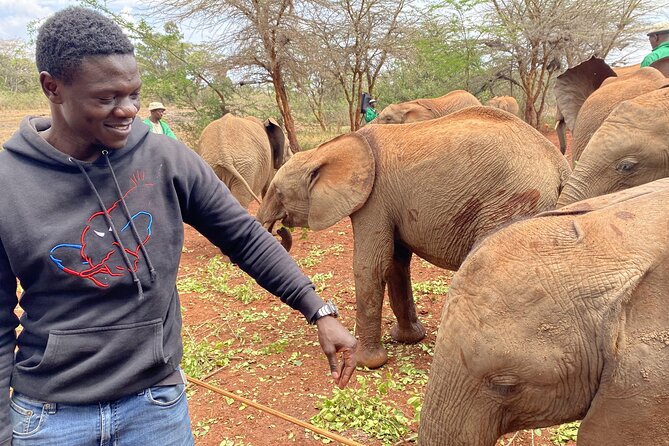 Nairobi City Guided Walking Tour - Who This Tour Suits Best, and Who Might Want a Different Plan
