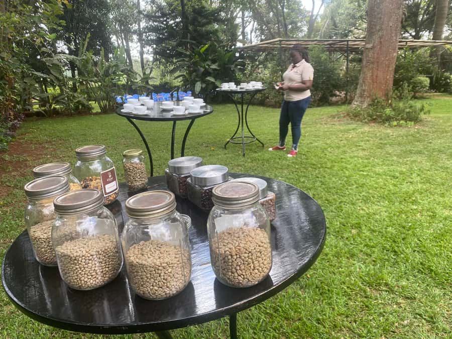 Nairobi: Coffee Factory and Farm Tour with Transfer - From Nairobi to Limuru: what the drive sets up