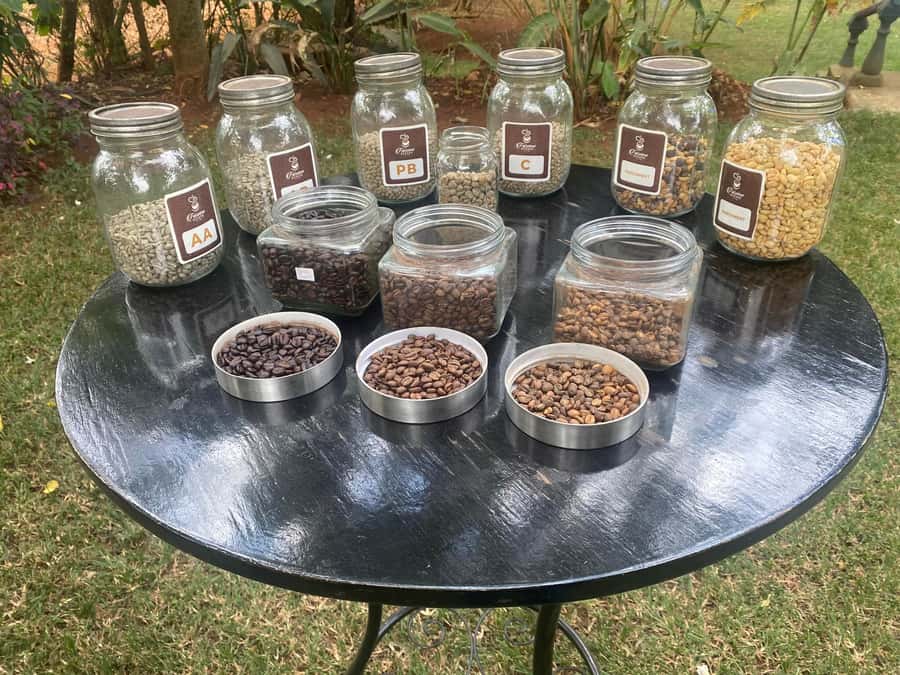 Nairobi: Coffee Factory and Farm Tour with Transfer - The 2-hour coffee tour: what you’ll actually do on the grounds