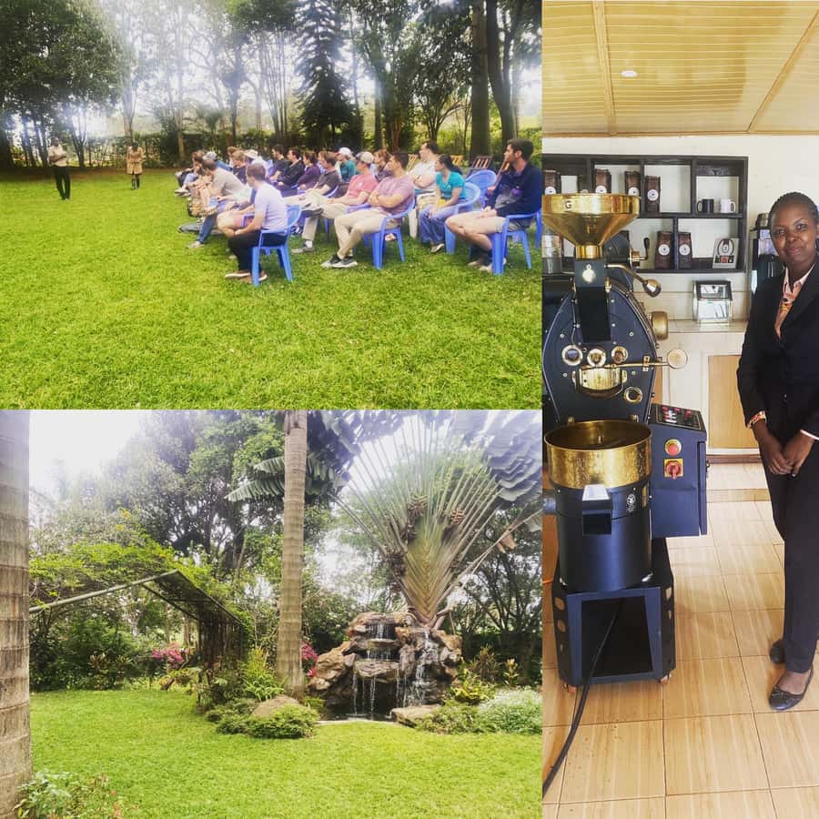 Nairobi: Coffee Factory and Farm Tour with Transfer - Who this tour is best for in Nairobi
