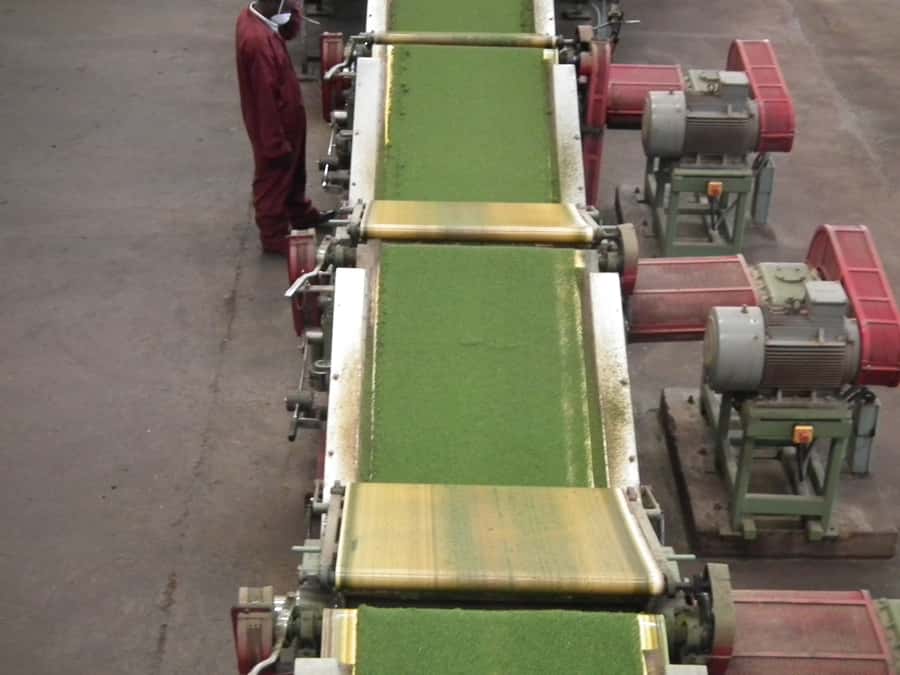 Nairobi: Coffee Farm and Factory Tour with Tasting - Key Things I’d Plan Around