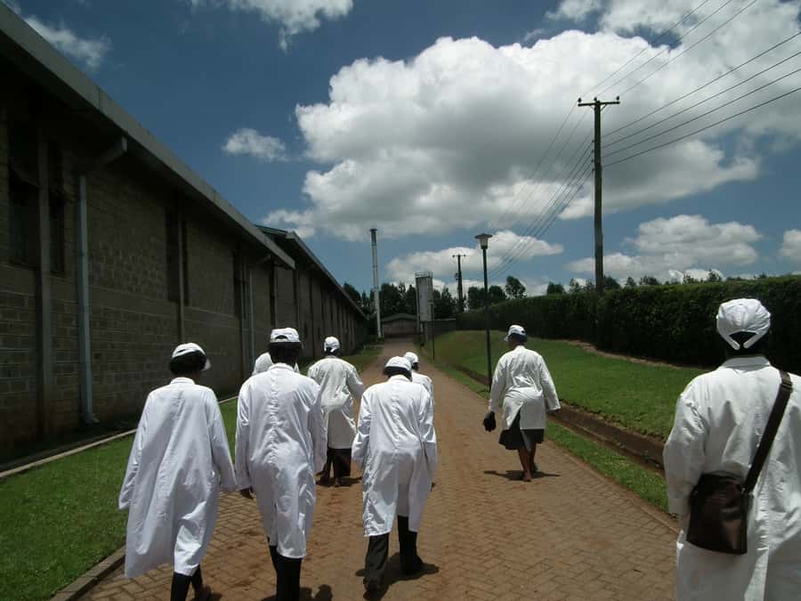 Nairobi: Coffee Farm and Factory Tour with Tasting - The Farm Shop: Buying Coffee, Jam, and Honey Without Overthinking It
