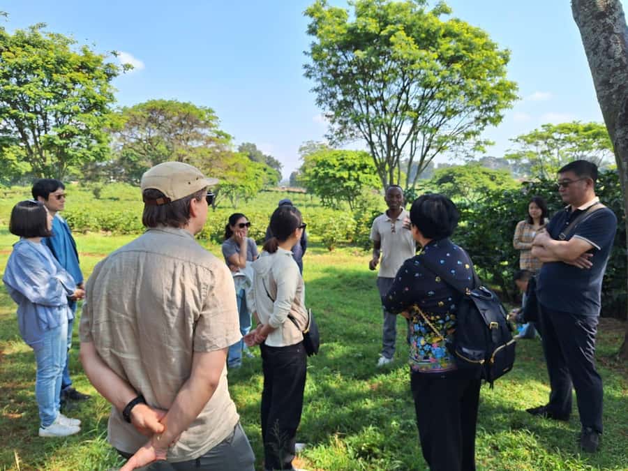 Nairobi: Coffee farm tour with pick up - From Nairobi pickup to Fairview Estate, how the day flows