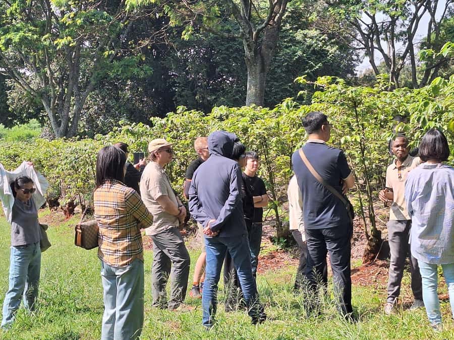 Nairobi: Coffee farm tour with pick up - The on-site shop stop: what to buy and what to ask for