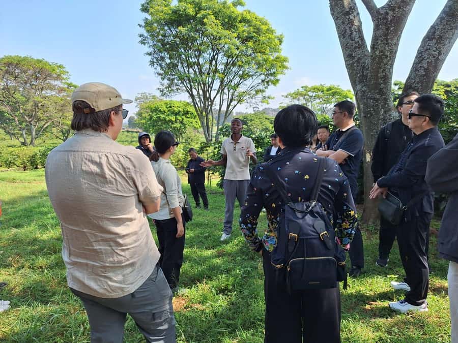 Nairobi: Coffee farm tour with pick up - Who this tour is best for (and who might want a different plan)