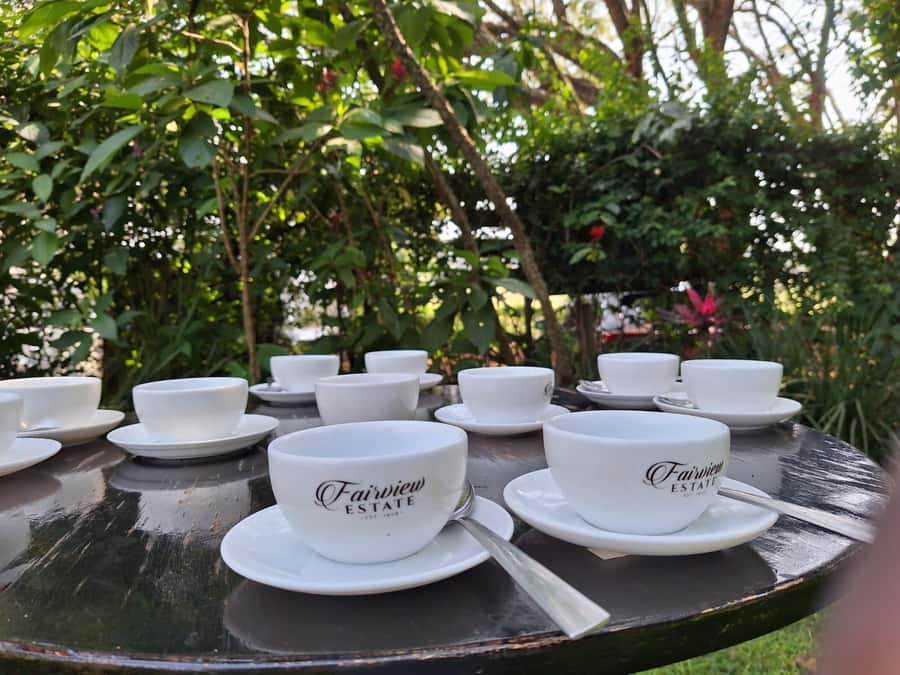 Nairobi: Coffee farm tour with pick up - Walking the Fairview Estate coffee fields with your guide