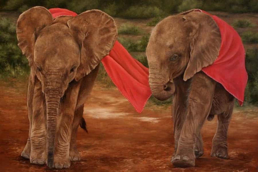 Nairobi: David Sheldrick Elephant Orphanage Visit - Getting From Your Hotel to the Orphanage: The Smooth Start