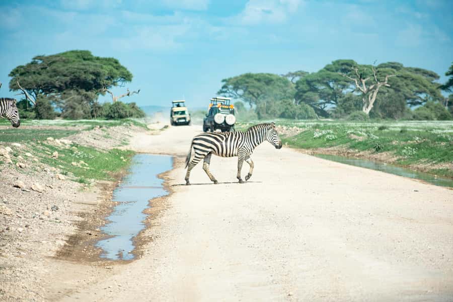 Nairobi: Day Tour to Amboseli National Park & Maasai Village - Timing From Nairobi: What 12 Hours Looks Like on the Road