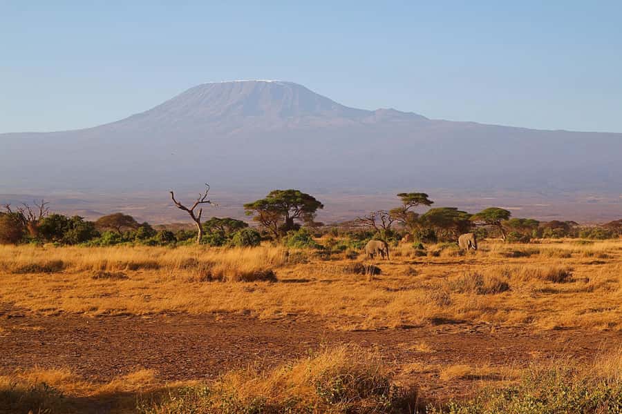 Nairobi: Day Tour to Amboseli National Park & Maasai Village - Who This Trip Fits Best (and Who Should Reconsider)