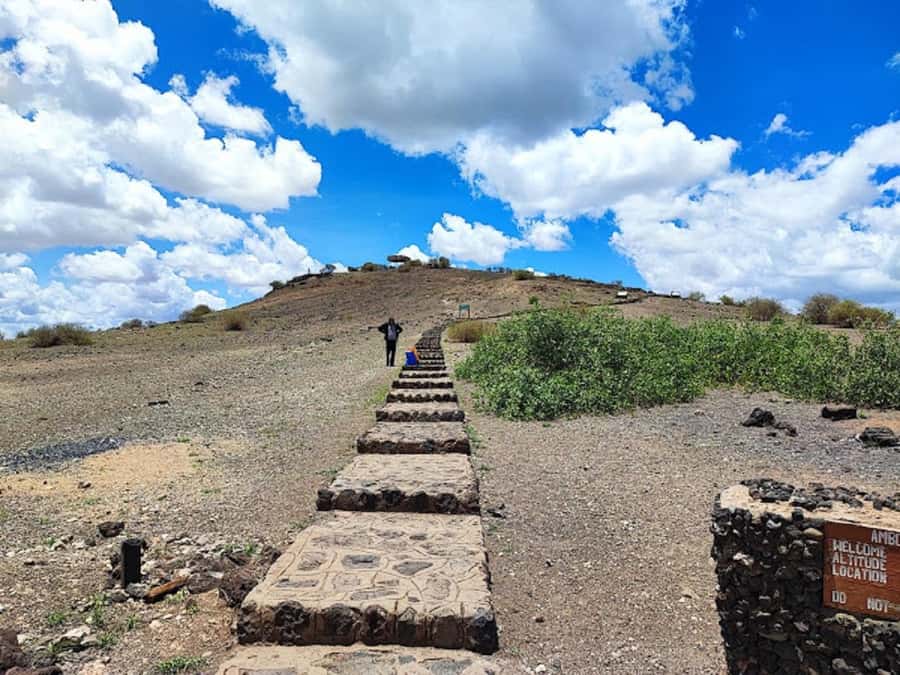Nairobi: Day Trip to Amboseli National Park - Midday Lunch: Picnic in the Park or a Lodge Break