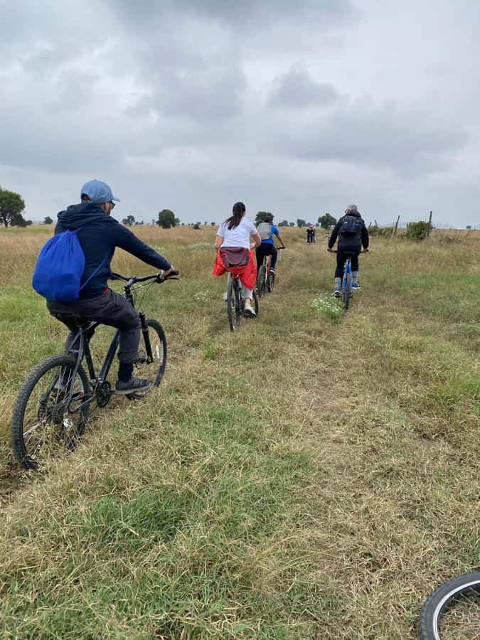 Nairobi: E-Bike/Cycling Wildlife Safari with Transfer & meal - Why this Nairobi-area safari feels different from a car drive