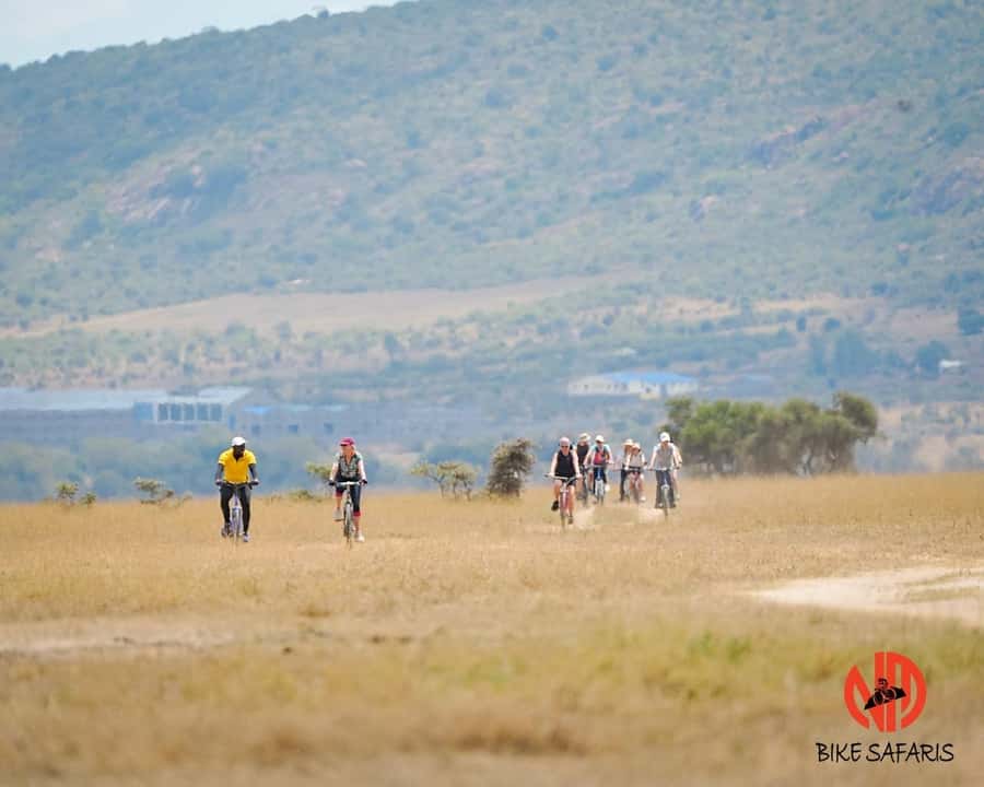 Nairobi: E-Bike/Cycling Wildlife Safari with Transfer & meal - What you’re likely to see while riding (and why the guide matters)