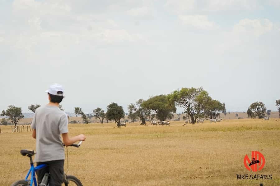 Nairobi: E-Bike/Cycling Wildlife Safari with Transfer & meal - The ride setup: e-bike comfort, standard bike effort, and real safety