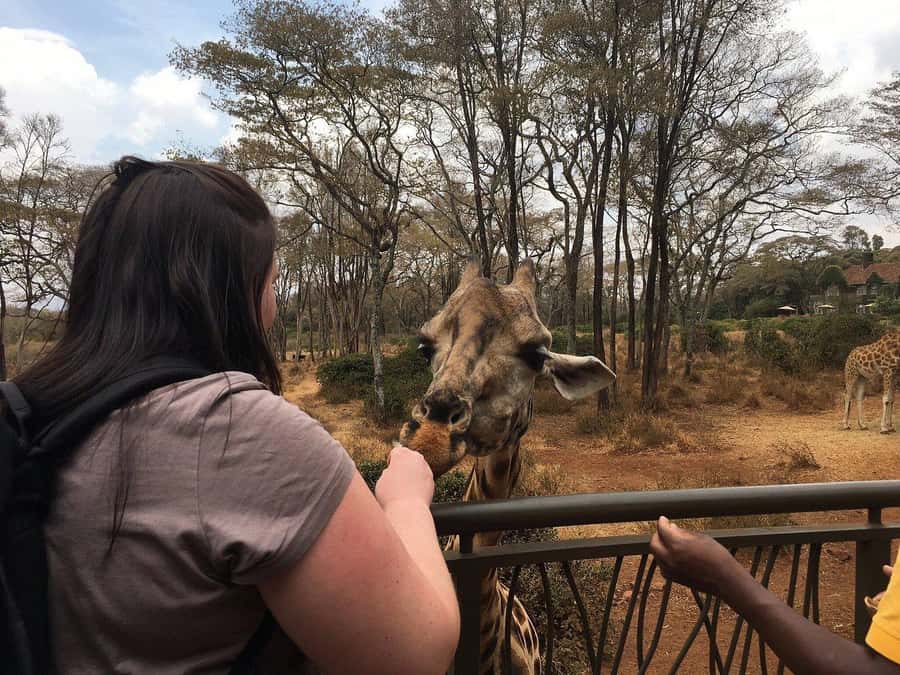 Nairobi: Elephant Orphanage and Giraffe Center Day Tour - Mixed Feedback to Consider Before You Book