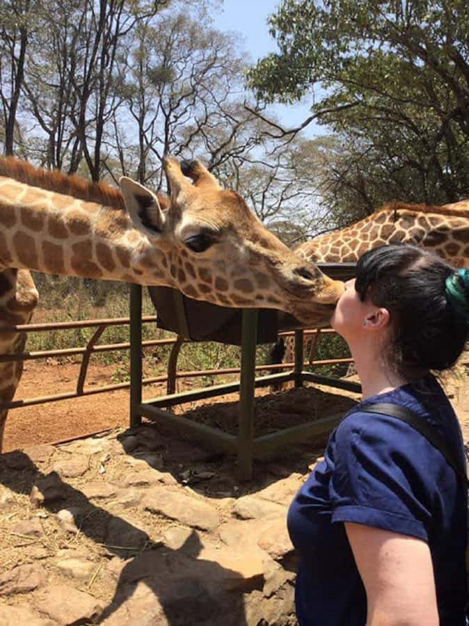 Nairobi: Elephant Orphanage, Beads Factory , giraffe center - Giraffe Centre: Semi-Wild Giraffes and Friendly Feeding Time