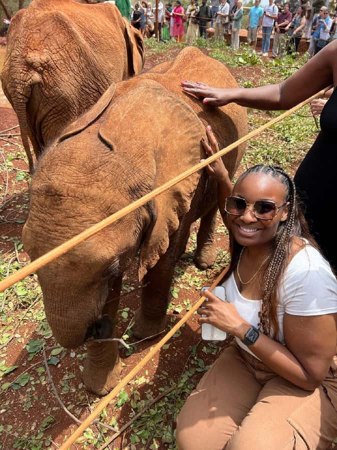 Nairobi: Elephant Orphanage, Beads Factory , giraffe center - Price and Logistics: What the $28 Covers, Plus the Fees You Must Budget