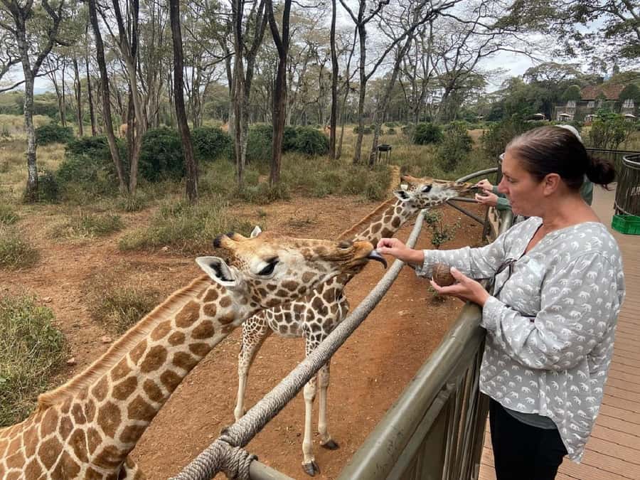 Nairobi: Elephant Orphanage, Giraffe Center, & Karen Blixen - Key Points You Should Know Before You Go