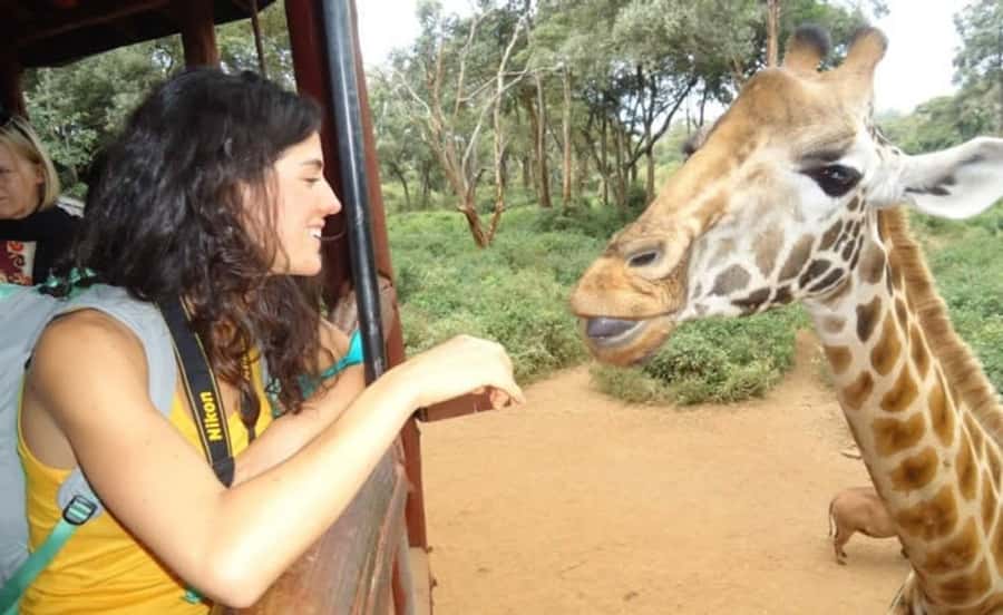 Nairobi: Elephant Orphanage Trust and Giraffe Center Tour - Who should book this tour