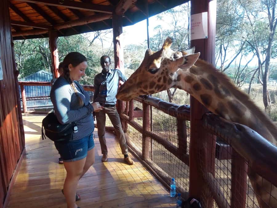 Nairobi: Elephants, Giraffes, Karen Blixen & Bomas Tour - Quick Hits Before You Go