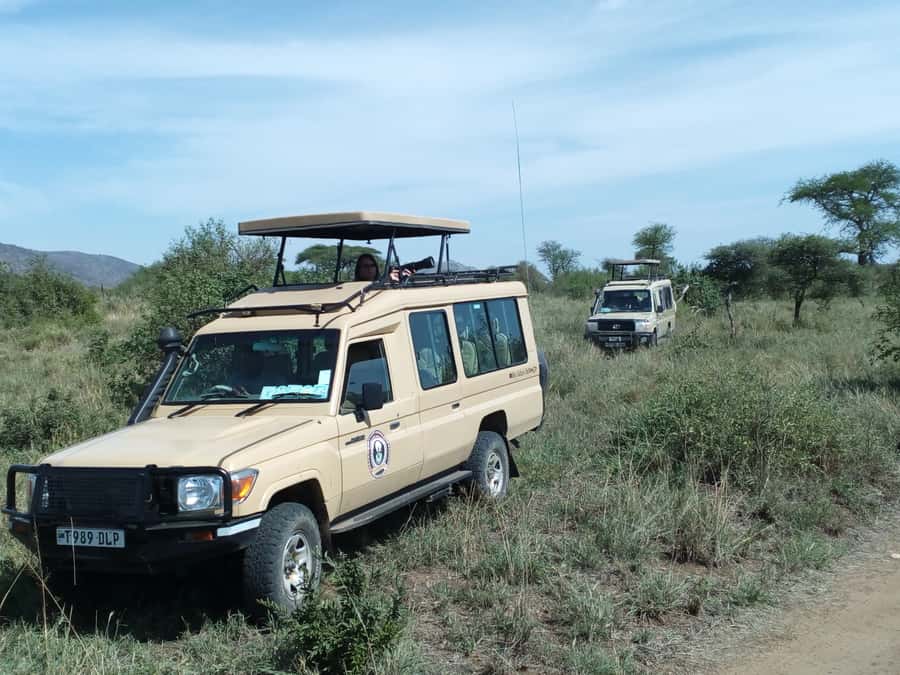 Nairobi: Elephants, Giraffes, Karen Blixen & Bomas Tour - David Sheldrick Wildlife Trust: Baby Elephants Up Close, With Real Purpose