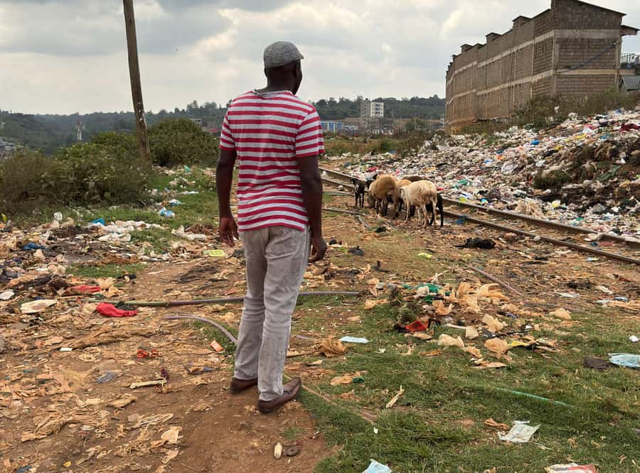 Nairobi: Explore Kibera Slum with Local Guides - Why Kibera with local guides hits differently than a standard city tour