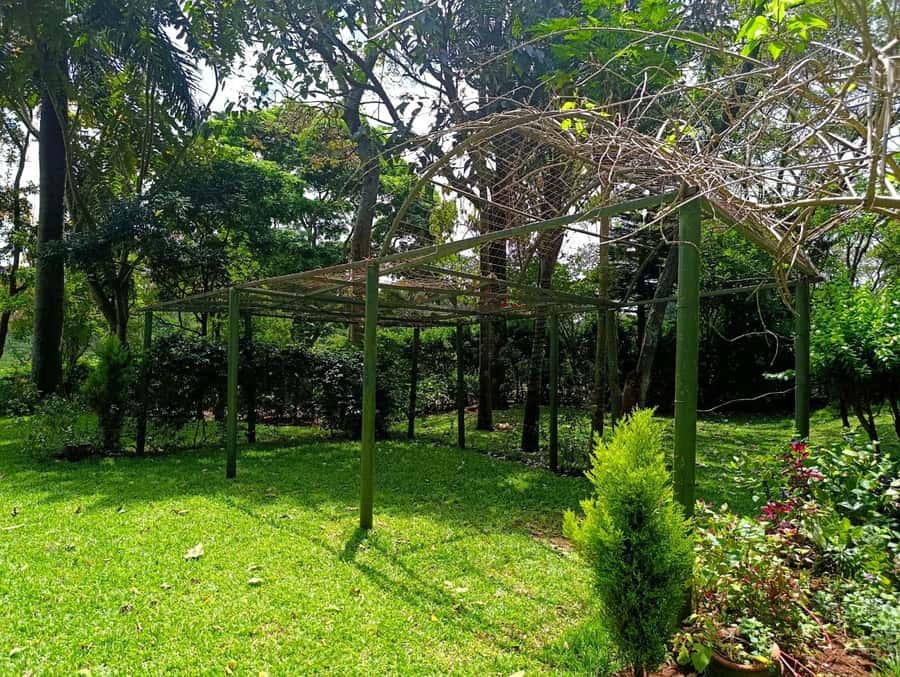Nairobi: Fairview Coffee Estate Tour with Pickup - Roast Your Own with a Jiko, Then Bag It
