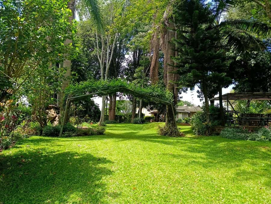 Nairobi: Fairview Coffee Estate Tour with Pickup - Terrace Snacking, Scenic Views, and the Final Mingle