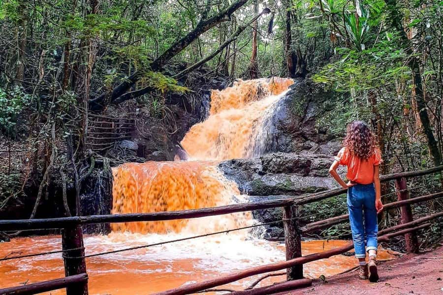 Nairobi: From Nairobi-Karura Forest Guided Walking Tour - Timing, Pacing, And How The Tour Feels In 2 Hours