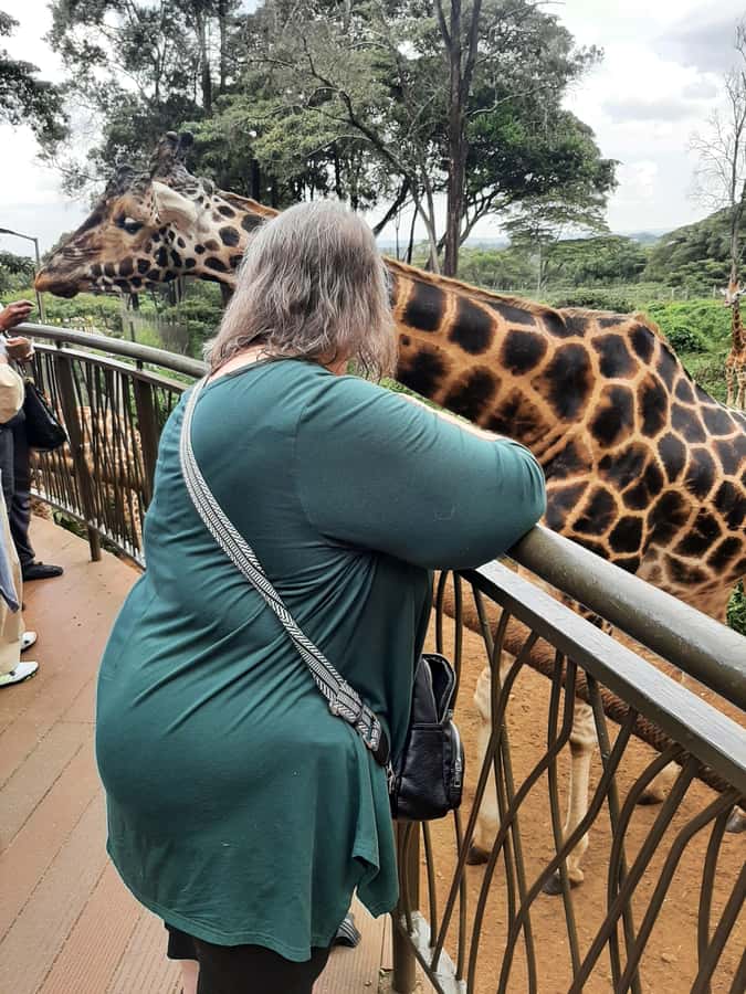 Nairobi: Game drive, elephant Orphanage & giraffe centre. - Meeting Orphaned Elephants, and Understanding Why Care Matters