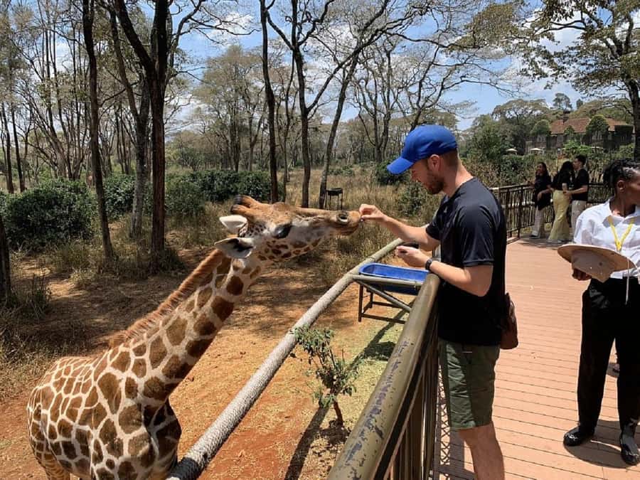 Nairobi:Giraffe Center, Baby Elephant and Beads factory Tour - Key things that make this Nairobi tour worth your time