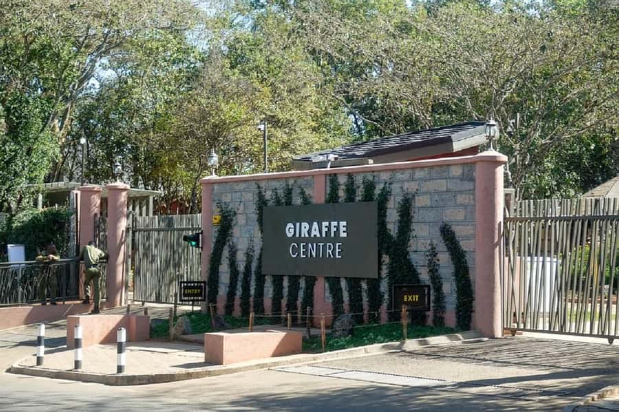 Nairobi:Giraffe Center, Baby Elephant and Beads factory Tour - Should you book this Nairobi Giraffe Centre, Elephant Orphanage and Beads Factory tour?