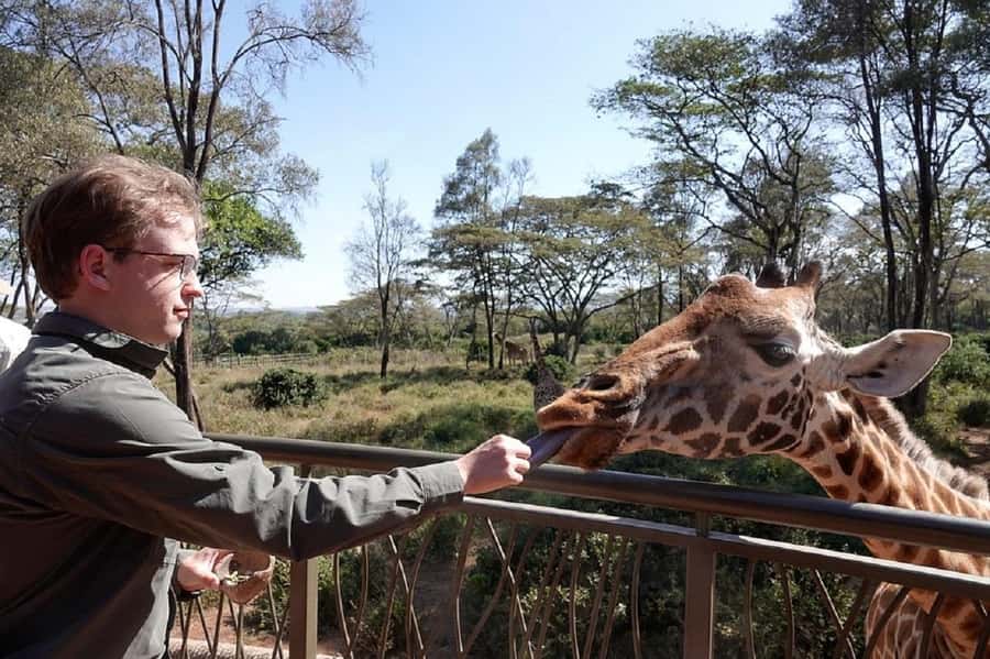 Nairobi:Giraffe Center, Baby Elephant and Beads factory Tour - David Sheldrick Elephant Orphanage: seeing care in action