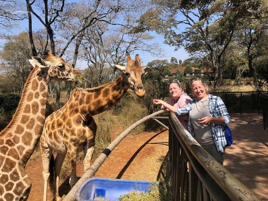 Nairobi:Giraffe Center, Baby Elephant and Beads factory Tour - Kazuri Beads Factory: women’s empowerment you can watch happen