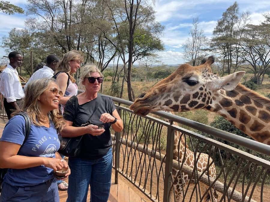 Nairobi:Giraffe Center, Baby Elephant and Beads factory Tour - Who this tour suits best (and who might want something else)