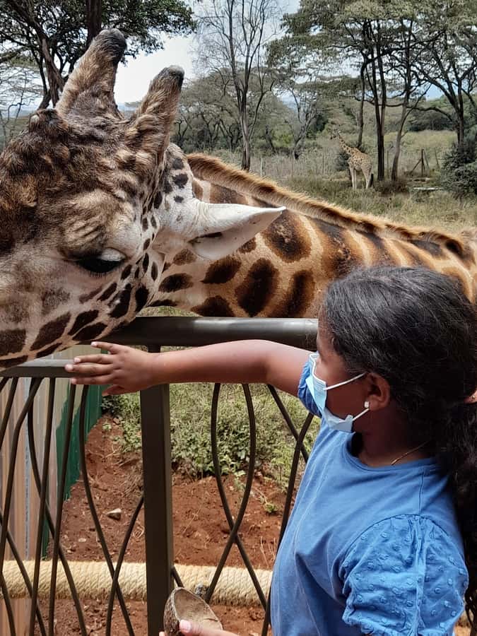 Nairobi: Giraffe Center, Beads Factory & Bomas of Kenya Tour - What to bring, wear, and plan around so the day feels easy