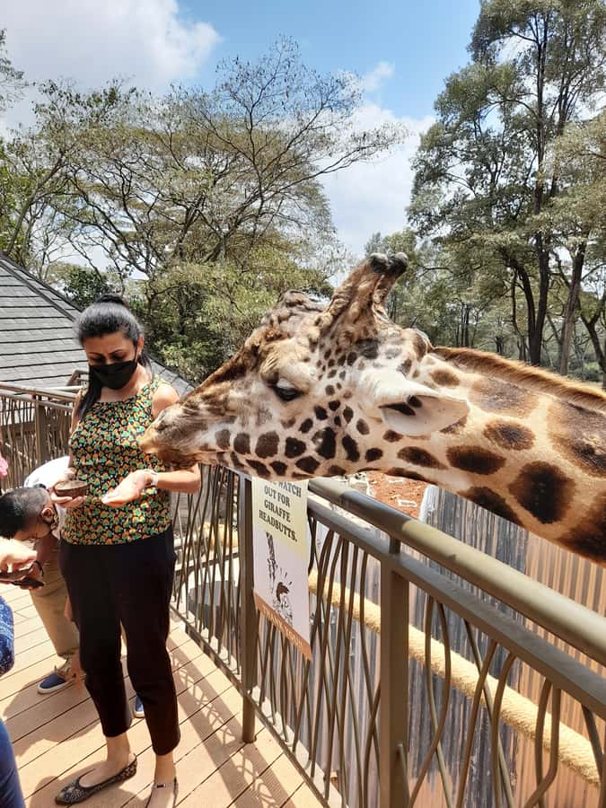 Nairobi: Giraffe Center, Beads Factory & Bomas of Kenya Tour - Who this Nairobi tour fits best
