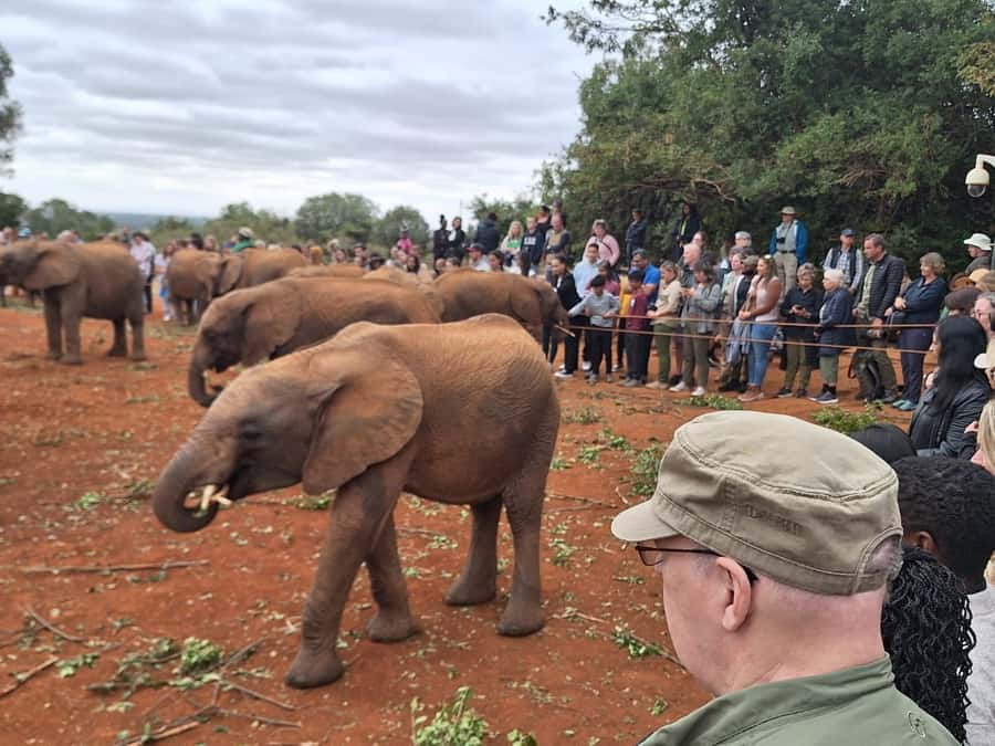 Nairobi: Giraffe Center, Elephant Orphanage, and Beads Tour - Giraffe Center: Feeding Up Close and What to Look For