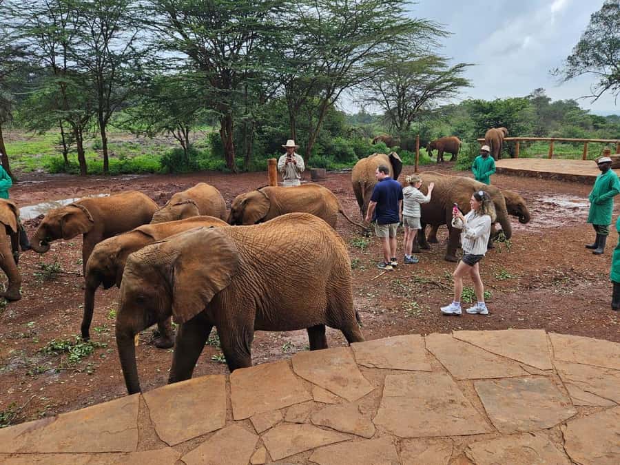 Nairobi: Giraffe Center, Elephant Orphanage, and Beads Tour - The Easy Nairobi Ride: Let Someone Else Handle the Traffic