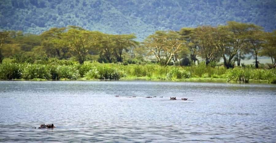 Nairobi:Group Hell's Gate National Park & Lake Naivasha Tour - Hell’s Gate and Lake Naivasha in one day from Nairobi
