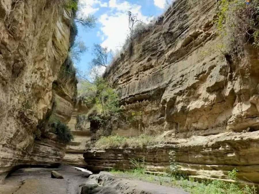 Nairobi:Group Hell's Gate National Park & Lake Naivasha Tour - Lunch at Naivasha: reset time before the lake