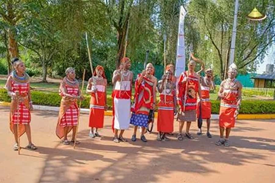 Nairobi: Guided Afternoon Tour to Bomas of Kenya. - Price and what you should budget for, not just the tour cost